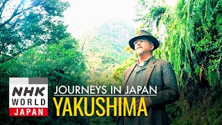 Yakushima Awakenings  Journeys in Japan [upl. by Grassi]