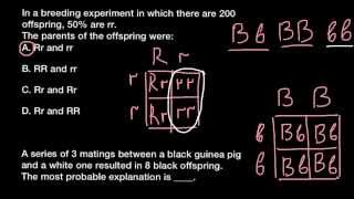 Simple Mendelian genetics problems [upl. by Hayden]