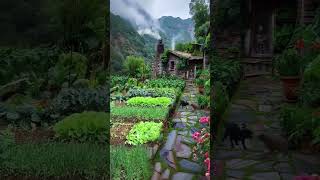 Forest Village Adventures Nature Trails Wildlife and Local Culture ytshorts trendingshorts [upl. by Ettennan]