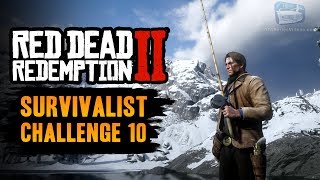 Red Dead Redemption 2 Survivalist Challenge 10 Guide  Catch each type of fish throughout the world [upl. by Edahsalof946]