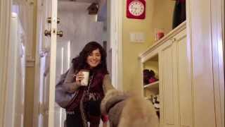 PetSmart commercial  2011 Holiday Campaign quotParkaquot [upl. by Ylsel162]