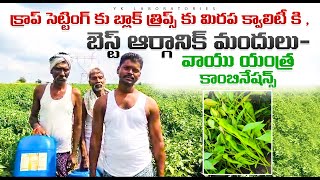 Blackthripsపూత లో నల్లిమిరప క్వాలిటీ కిబెస్ట్ ఆర్గానిక్ వాయు యంత్ర కాంబినేషన్స్guntakal farmer [upl. by Stolzer]