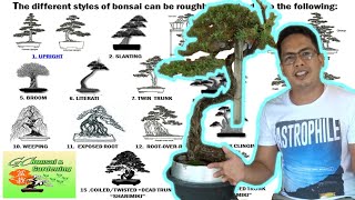 The different Styles of Bonsai Explained Beginners Guide [upl. by Aniwde]