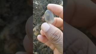 Moonlight Gem Stone Digging  Amazing moonlight gem earthtreasures crystals shorts moonlightgem [upl. by Yorgerg]