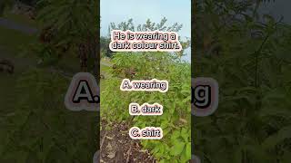 Find the adjective  Adjective  English grammar  Shorts  Learn with me adjective [upl. by Subocaj839]