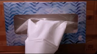 Satisfying ASMR Pulling all the tissues out of a Kleenex box no talking [upl. by Ernestus]