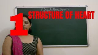 Structure of Heart ICSE class 10 AND CBSE class 10 VERY IMPORTANT BIOLOGY ICSECBSEBoard Exams [upl. by Levania]