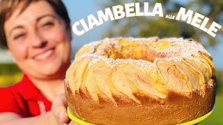 CIAMBELLA ALLE MELE con 4 METODI DI COTTURA  Forno Pentola Fornetto Friggitr ad aria e Microonde [upl. by Ecinom708]