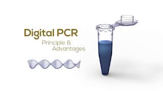 Digital PCR Principle amp Advantages [upl. by Gonzalez689]