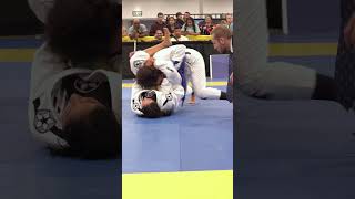 Triangle to Arm Bar Transition by Dania Silva at the ibjjf JiuJitsu Con 🏆🔥 jiujitsu bjj shorts [upl. by Aniuqal]