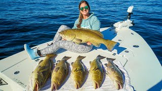 EASY BIG Grouper LIMITS Catch Clean amp Cook Crystal River Florida [upl. by Aikar]