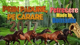 Prin Padure Pe Carare Colaj Muzica de Petrecere 2017 [upl. by Dilly]