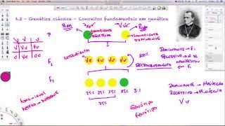 Aula 62  Genética clássica  Conceitos fundamentais em genética  parte 1 [upl. by Nobel236]