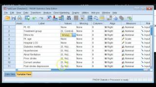 An overview of SPSS Statistics [upl. by Beilul]