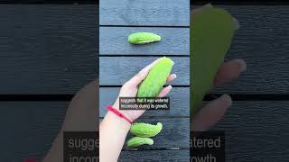 What does the cucumber shape mean [upl. by Vlada]