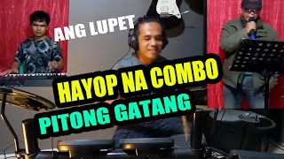 DALAWANG KANTANG MALUPET HAYOP NA COMBO AT PITONG GATANG REY MUSIC COLLECTION [upl. by Sirovart]