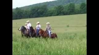 Meramec Farm Cabins and Gaited Breeds Trail Rides in Missouri [upl. by Callean]