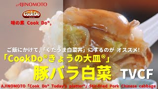 Japanese Ads AJINOMOTO 「Cook Do® Todays platter®」 Stirfried Pork Chinese cabbage TVCF [upl. by Cheyney250]