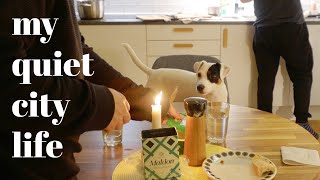 Oslo Norway Slow city life with a dog  Silent vlog  Thoughts on work  life balance [upl. by Cutcliffe]