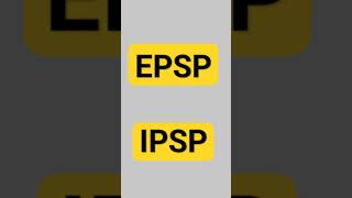 EPSP amp IPSP [upl. by Utas296]