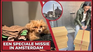 EEN SPECIALE MISSIE IN AMSTERDAM  2043 [upl. by Adnahsam]