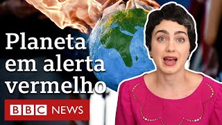 5 pontos do relatório da ONU sobre efeitos alarmantes das mudanças climáticas [upl. by Neilla]