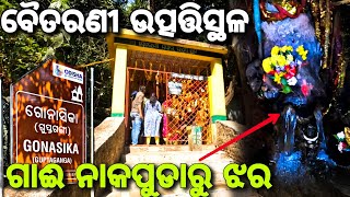 Gonasika ଗୋନାସିକା  Origin of The Baitarani River  Keonjhar  gouttam [upl. by Hirasuna]