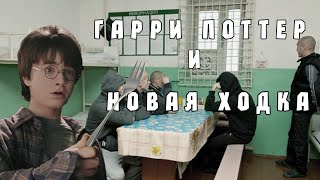 Гарри Поттер Смешная озвучка [upl. by Ardy]