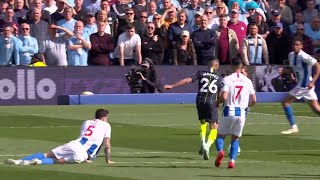 Throwback Riyad Mahrez World Class Perfomance amp goal V BRIGHTΟN PL1819 Game Week 38 [upl. by Huesman506]