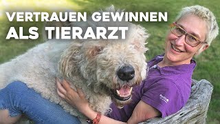 Hunde vertrauen nur Tierärzten wenn sie diese 6 Strategien kennen [upl. by Arbed225]