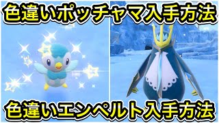 【ポケモンSV】色違いポッチャマ入手方法！色違いエンペルトの入手方法 [upl. by Dustin]