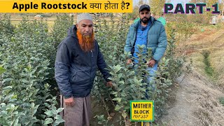 Part1Apple Rootstock क्या होता है M27M9T 337M26 M7MM106 MM111 में क्या अंतर है [upl. by Eliam153]