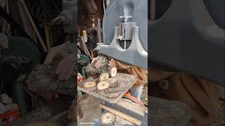 Cutting wood cookies or slices with bandsaw [upl. by Noid81]