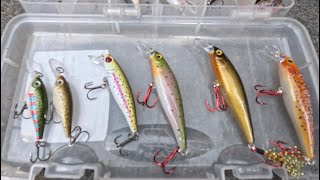 Catching A Bunch Of Nice Trout While Using SampD Custom Baits fishingtroutcolorado [upl. by Adiahs]