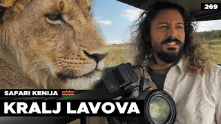 Upoznao sam budućeg KRALJA LAVOVA na safariju 🇰🇪 [upl. by Anid]