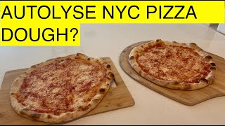 Should I Autolyse NYC Pizza Dough [upl. by Adnohr]