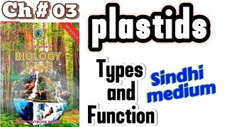 Plastids 11th biology [upl. by Ebbie732]