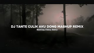 Dj Tante Culik Aku Dong Mashup Remix  New 2024 Bootleg Febry Remix  Tik tok Song [upl. by Arted]