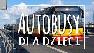 Autobusy dla dzieci  Buses for kids [upl. by Ferri]