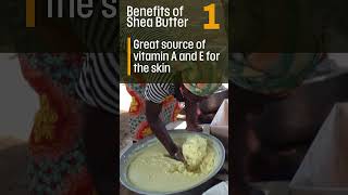 Differences Between Shea And Cocoa Butter sheabutter cocoabutter ghana [upl. by Ewolram635]