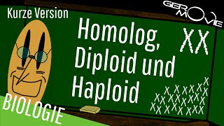 ► Homolog Diploid und Haploid  verständlich erklärt  Kurze Version [upl. by Irihs]