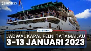 Jadwal Kapal Pelni 313 Januari 2022 Rute Kapal Tatamailau Merauke  Bitung dan Harga Tiket Ekonomi [upl. by Stieglitz]