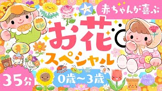 【赤ちゃんが喜ぶ音楽】赤ちゃんの笑いが止まらないお花スペシャル🌷│赤ちゃんが泣き止む 笑う 喜ぶ 寝る│0歳1歳2歳3歳の知育アニメ│乳児・幼児向け知育動画【子供の歌】 [upl. by Aseuqram453]