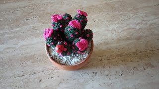 Tutorial cactus con fiori fucsia uncinetto amigurumitutorial cactus crochet piantegrasse [upl. by Siskind443]