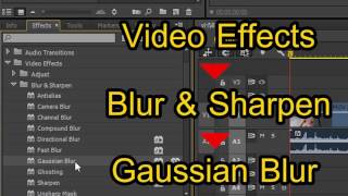 วิธีทำภาพเบลอใน Premiere Pro   How to blur in Premiere Pro [upl. by Beth]