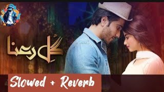 Gul E Rana OST HUM TV Feroze Khan Sajal Ali  Lofi  Slowed And Reverb Video Song Amazing Music [upl. by Aicened56]