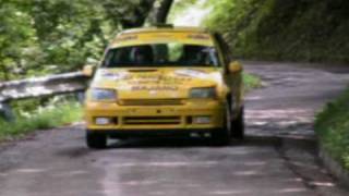 Renault Clio Williams Tribute [upl. by Cailean]