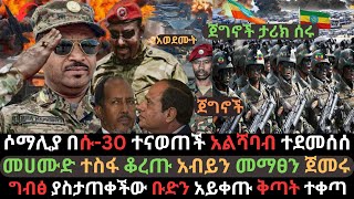 ሶማሊያ በጄቶች ተናወጠች  መሀሙድ በግብፅ ተስፋ ቆረጡ  አልሻባብ በአየር ሀይል ተደመሰሰ  Ethio Media  Ethiopian News [upl. by Schertz]