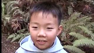 Camping at Redwood National Park Elmshaven Golden Gate Bridge [upl. by Anadroj]