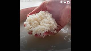 What happens when cooked rice is soaked in water overnight  IHWtv [upl. by Caton]